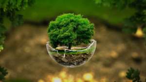 مدیریت از نقطه صفر و ویژگیهای آن