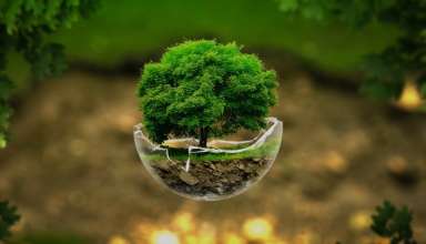 مدیریت از نقطه صفر و ویژگیهای آن
