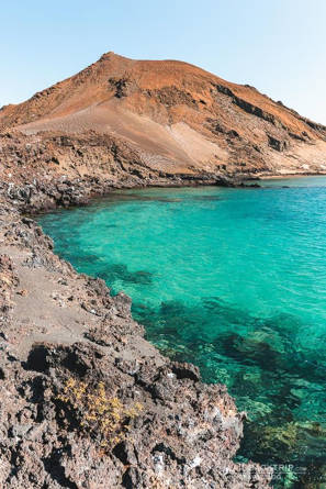 جزیره گالاپاگوس